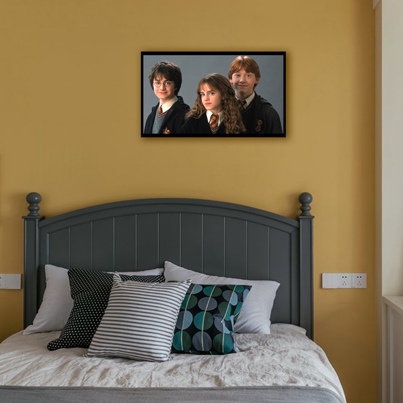 Bộ tranh đính đá tự làm hình Harry Potter trang trí nhà cửa