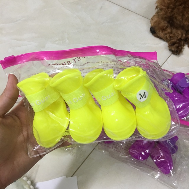 GIÀY CAO SU ĐI MƯA SIÊU XINHH