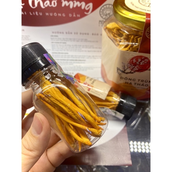 Đông trùng hạ thảo sấy khô gói 100gr | BigBuy360 - bigbuy360.vn
