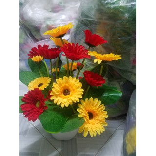 cụm Hoa đồng tiền vải lụa