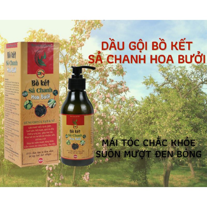 Dầu gội Bồ Kết Xả Chanh Hoa Bưởi Thảo Dược Thiên Nhiên 300ml