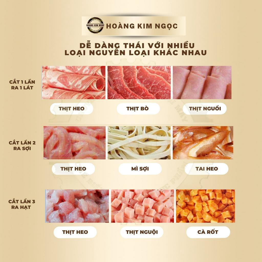 Máy thái thịt tươi sống DQ-90 - Hoàng Kim Ngọc