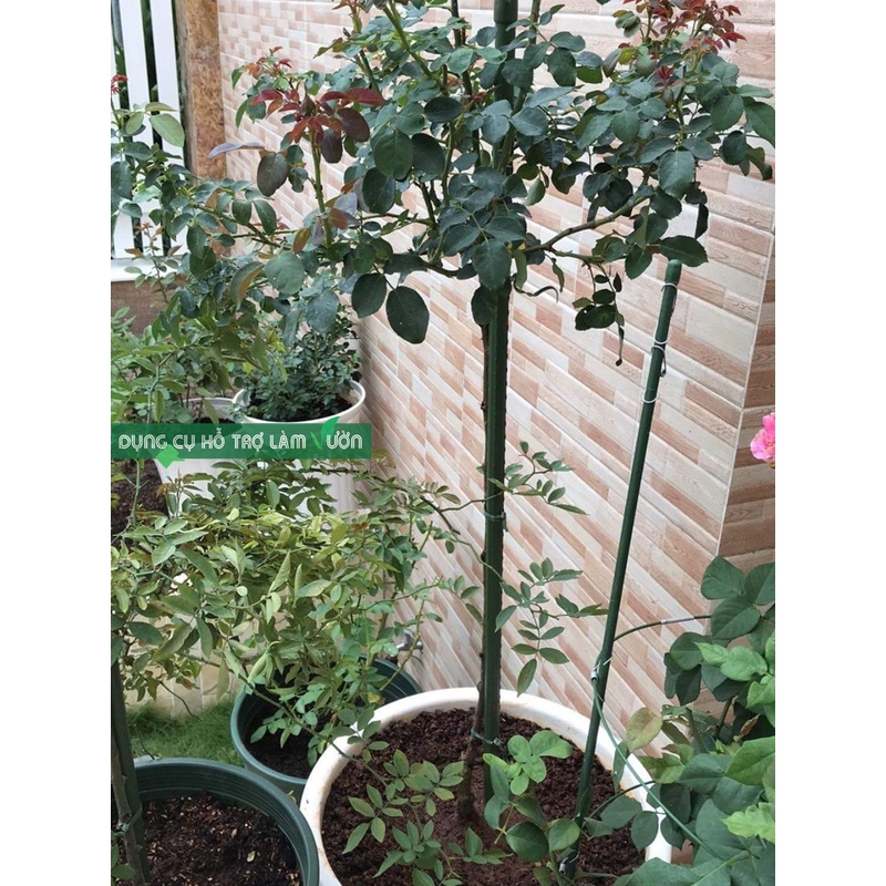 10 Ống thép - Cọc thép - Que thép bọc nhựa phi 8 dài 150cm của Nhật chuyên dùng cắm chống đỡ cây