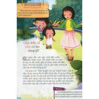 Hỏi Gì Cũng Biết - Bí Mật Về Thực Vật