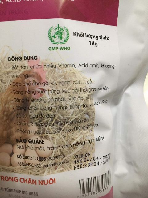 TĂNG TRỨNG PLUS CHO GÀ VỊT NGAN, CÚT ĐẺ