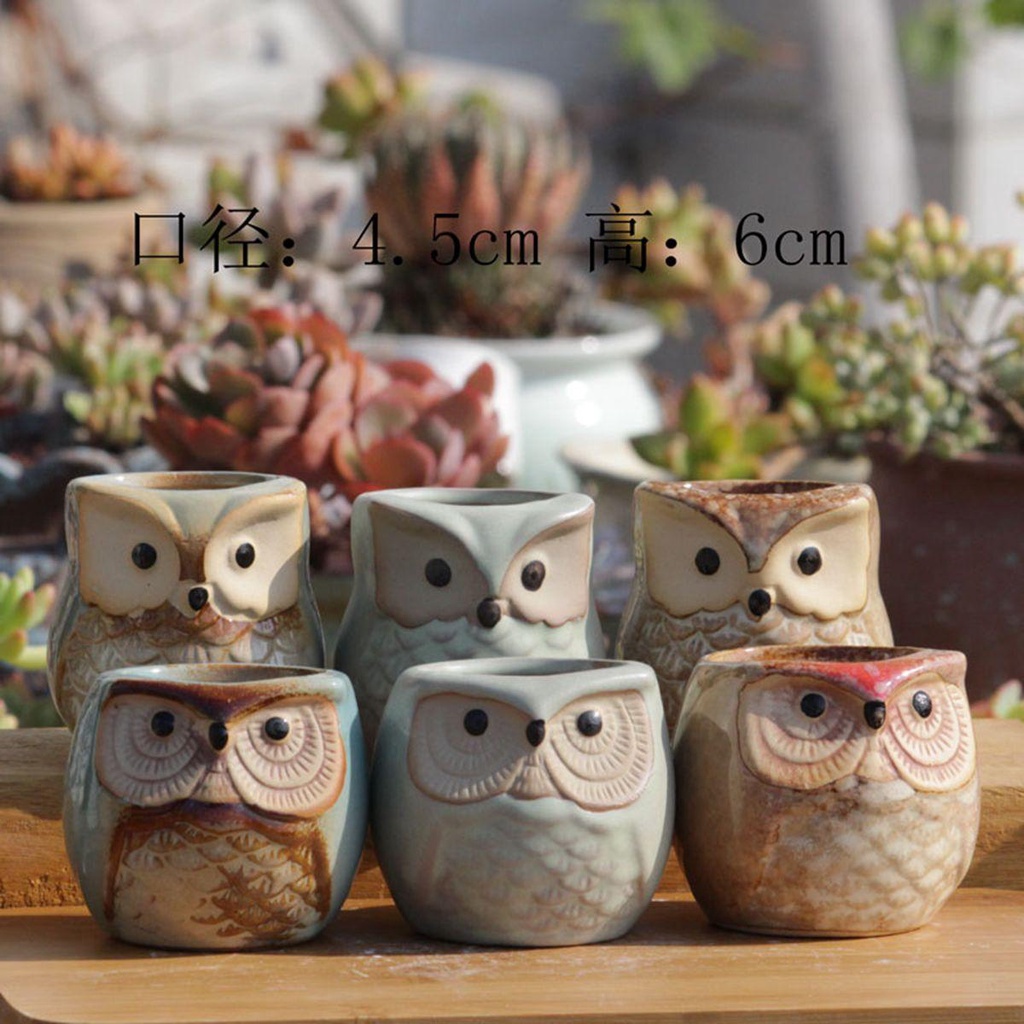 Chậu Trồng Cây Bằng Gỗ Kèm Khay Tre Họa Tiết Hoạt Hình Dễ Thương
