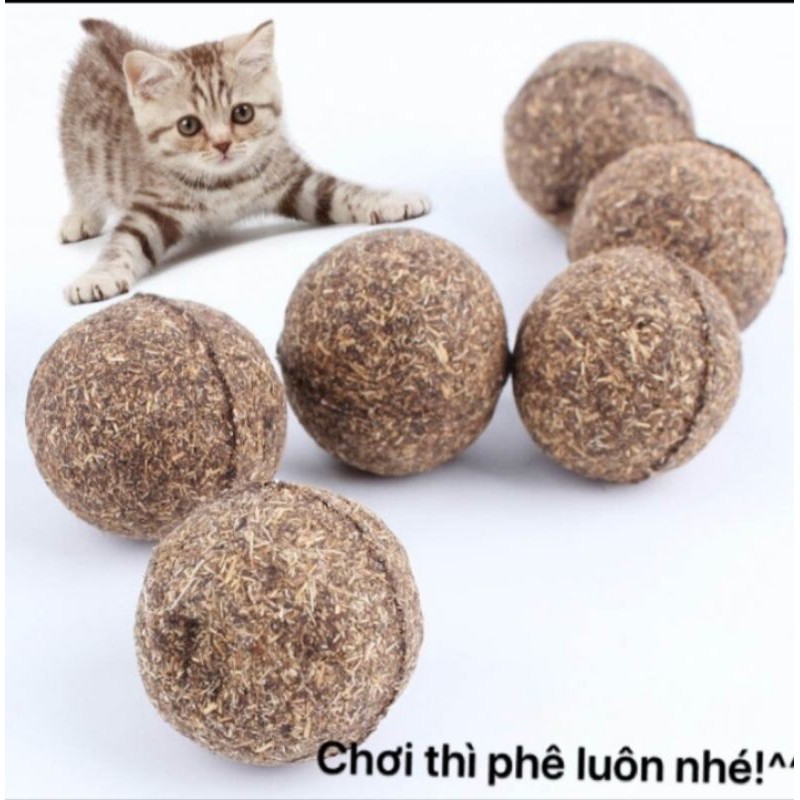 ĐỒ CHƠI BÓNG CỎ BẠC HÀ CAT NIP CHO MÈO