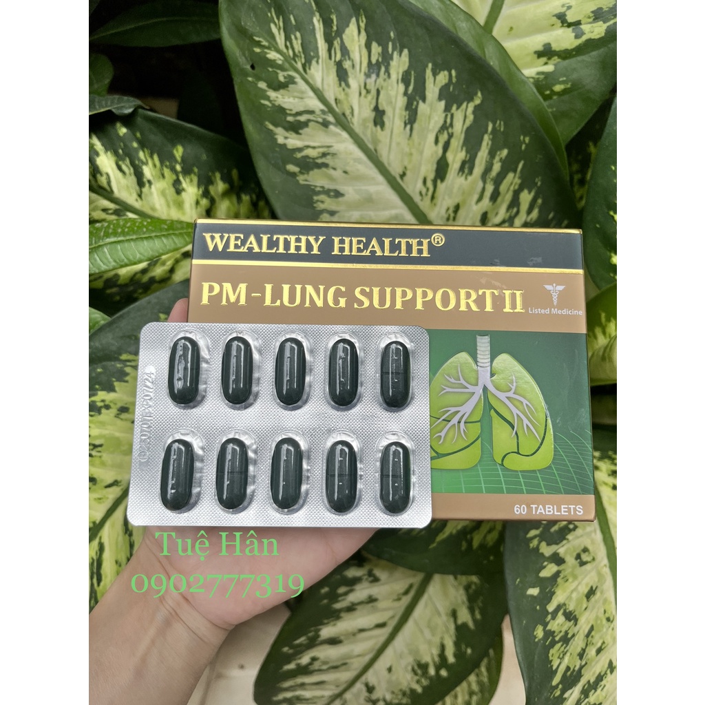 Viên uống bổ Phổi Wealthy Health PM Lung Support 60 viên của Úc