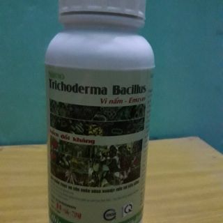 Nấm đối kháng Trichoderma