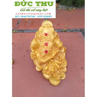 CÓC NGẬM ĐỒNG TIỀN VÀNG