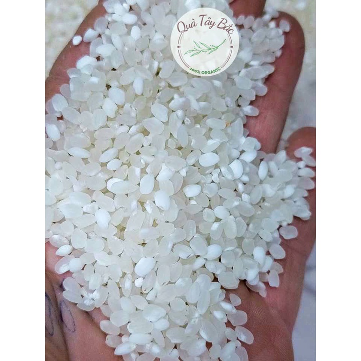 Gạo nếp Tú Lệ  đặc sản Tây bắc