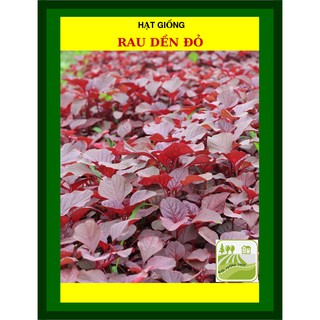 Hạt Giống Rau Dền Đỏ, Mềm 50 Gram
