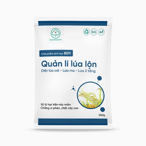 Chế phẩm sinh học BS11 - Quản lý lúa lộn - Xử lý hạt lúa lộn, lúa cỏ, hạt cỏ, chống xì phèn, hạn chế chết cây con - 500g