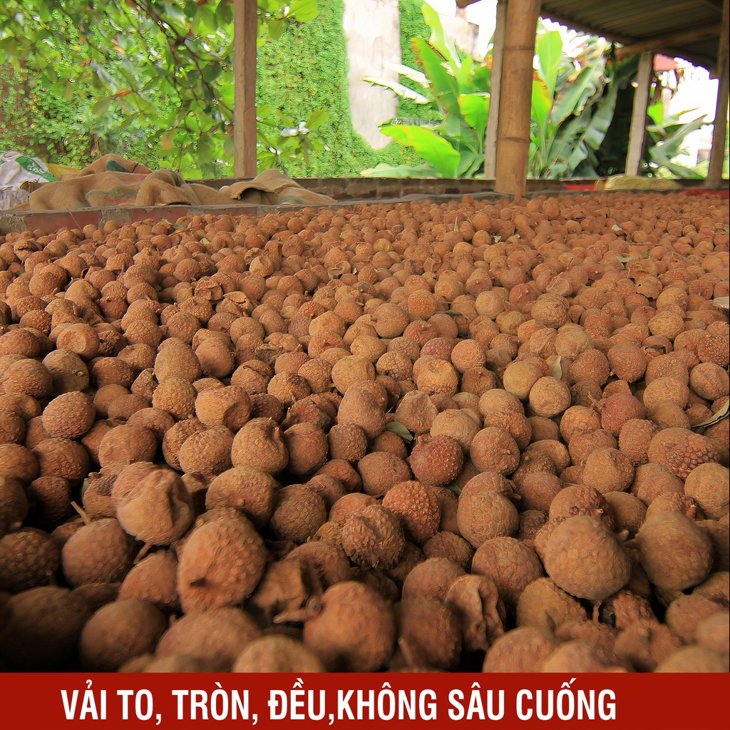 Vải sấy khô loại 1 túi 500g, vị ngọt vừa, không chất bảo quản, đồ ăn vặt ngon, 100%  từ vải thiều sấy khô Lục Ngạn