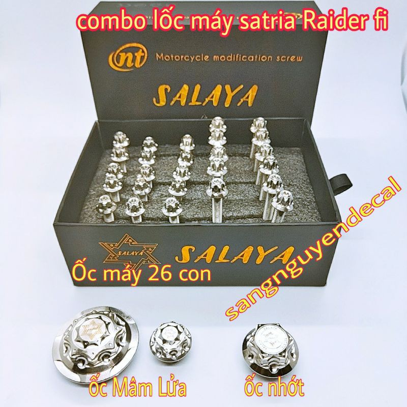 Combo ốc máy Raider fi Satia 29 con