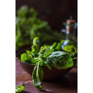 Lá Húng tây Basil 12g dạng