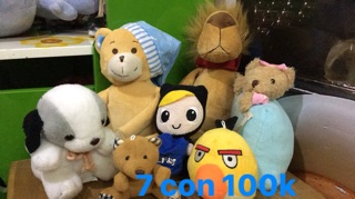 Gấu sét 100k