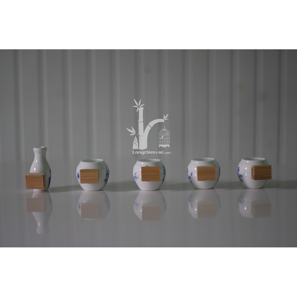 Cóng đựng thức ăn cho chim vành khuyên