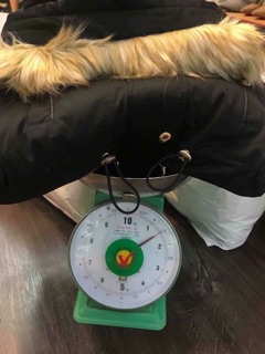 Áo parka zara