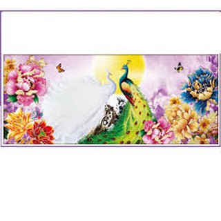 Tranh thêu chữ thập CON CÔNG 88917 (93x44cm) chưa thêu