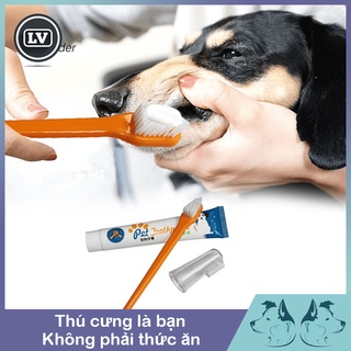 Bàn chải đánh răng cho thú cưng - Phụ kiện Long Vũ