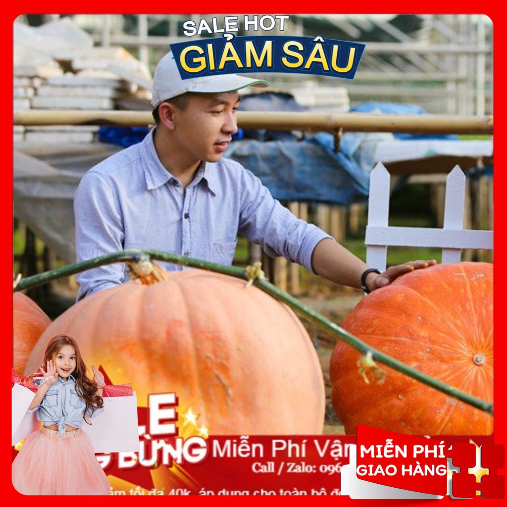 Hạt Giống Bí Ngô Khổng Lồ - 4 Hạt / Gói ( Hàng Loại 1 )