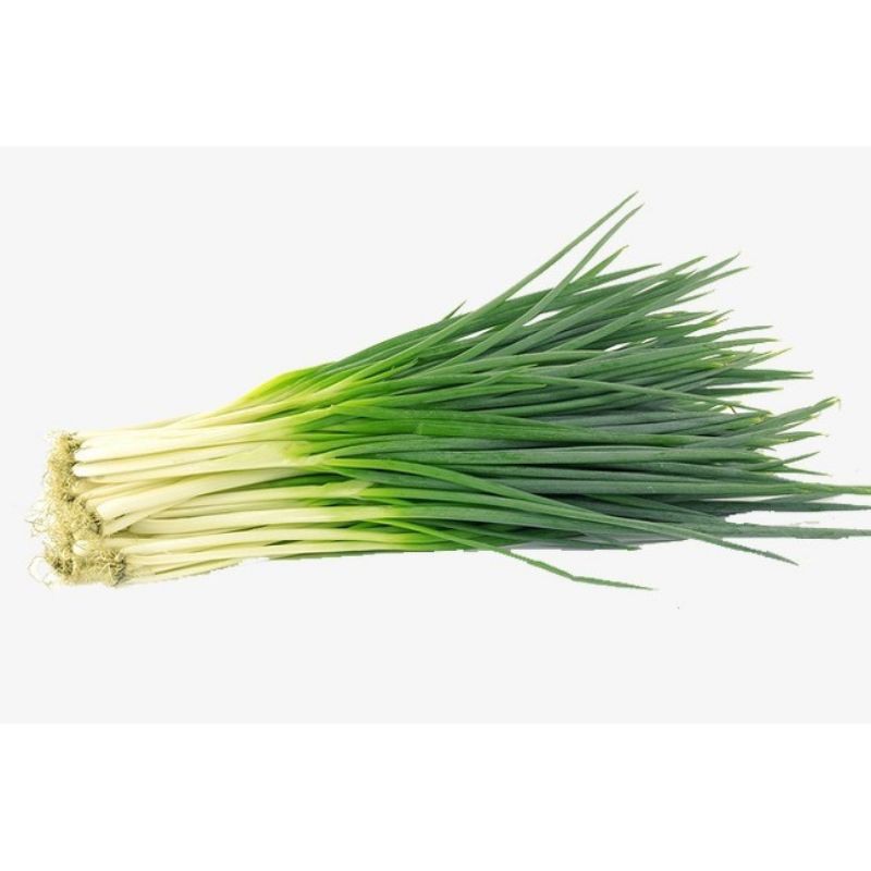 Hạt giống hành lá (1gr)