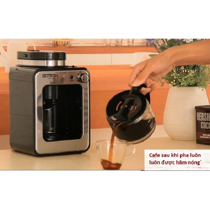 Máy pha cafe hạt tự động Gotech công nghệ Italia phù hợp cho gia đình, công sở, quán nhỏ