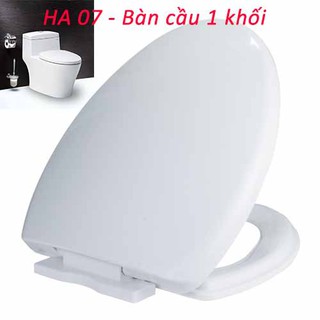 Nắp bàn cầu Hùng Anh