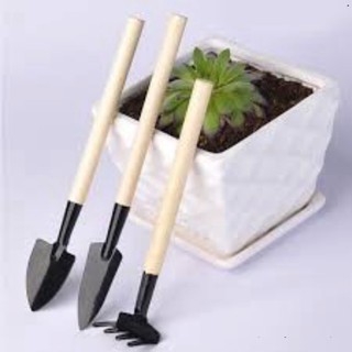 Bộ cuốc xẻng mini trồng cây cảnh