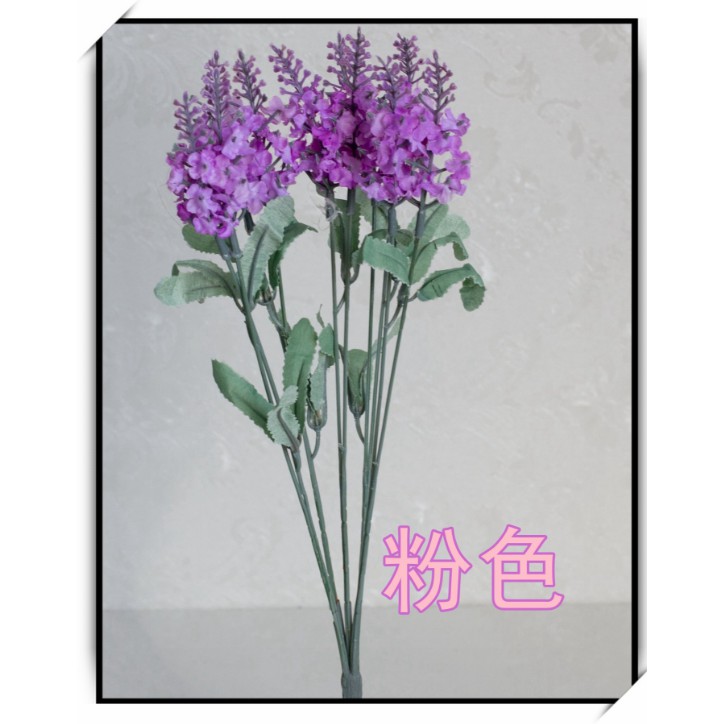 Hoa giả - Hoa lavender