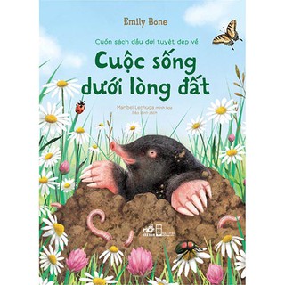 Cuốn Sách Đầu Đời Tuyệt Đẹp Về Cuộc Sống Dưới Lòng Đất