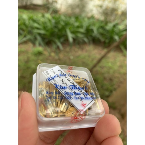 Ngòi Kim Thành 0.5