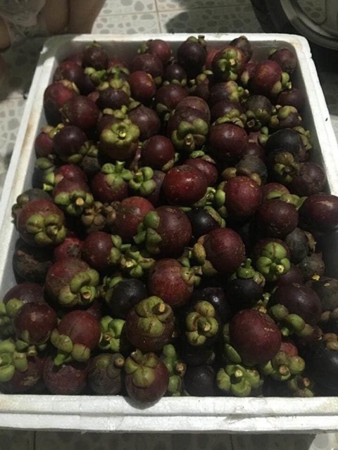 Sỉ 5kg Măng Cụt Long Khánh Đồng Nai