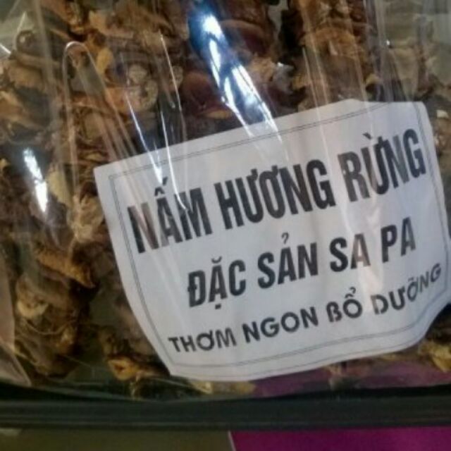 Nấm hương rừng