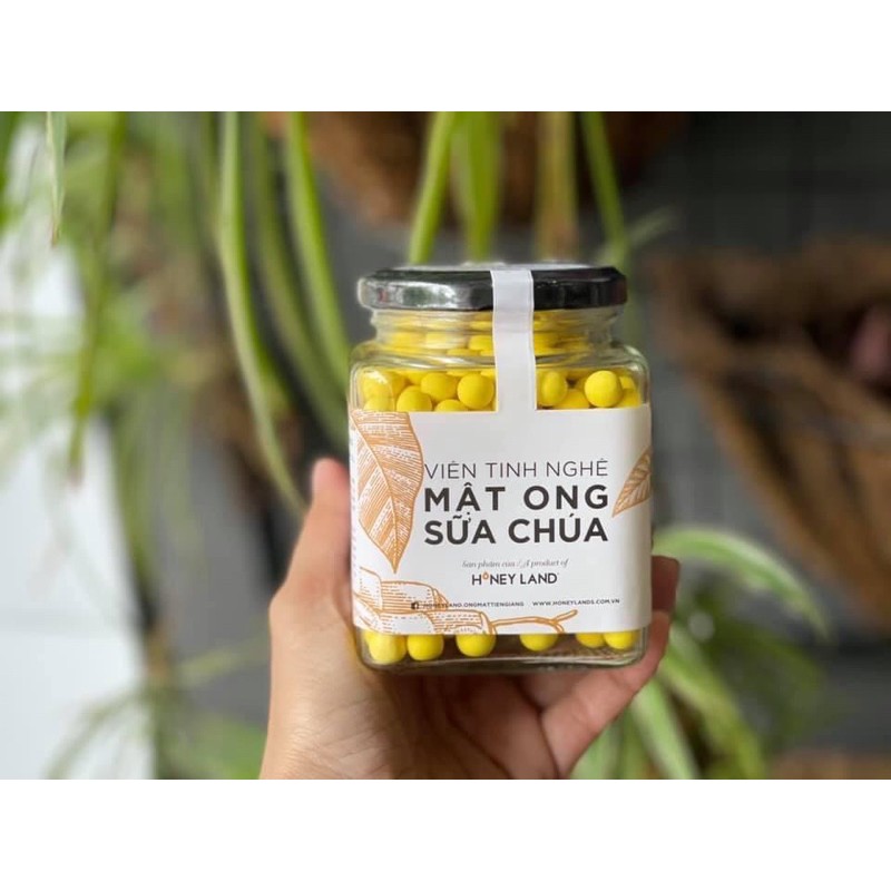 Viên tinh nghệ mật ong sữa chúa 250g Honeyland