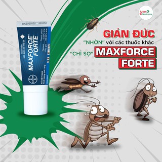 Diệt Gián Dạng Bả Maxforce Forte
