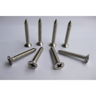 VÍT INOX 304 VÍT GỖ HOẶC TƯỜNG BÊ TÔNG BẮT TẮC KÊ KÈM NỞ NHỰA (túi 100g)