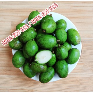 Cóc Non nguyên trái 1kg