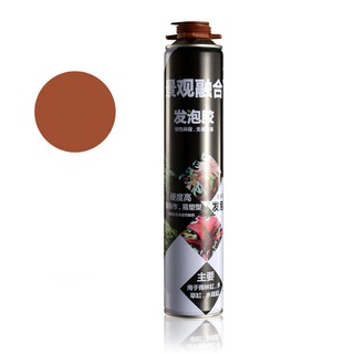 Bình xịt Foam 900g