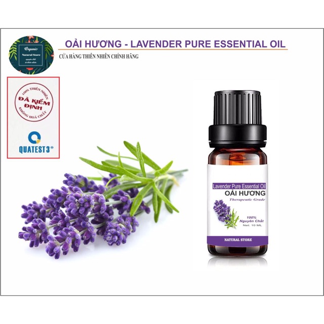 [ 10ML ] Tinh Dầu Oải Hương 100% Nguyên Chất Organic ( Lavender Pure Essential Oil )