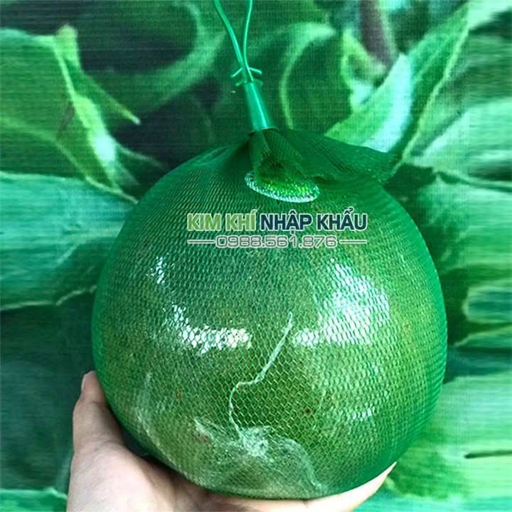 1kg túi lưới nhựa màu xanh đựng trái cây kèm móc khóa dài 40cm - BLX40
