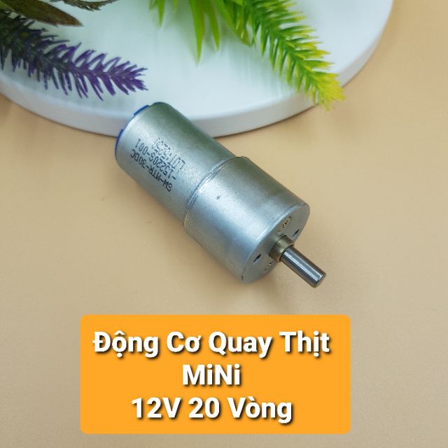 Động Cơ Quay Thịt Xiên MiNi 12V 20 Vòng