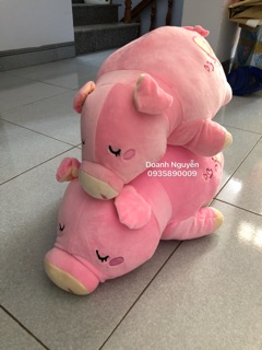 Gấu Bông Heo Lười