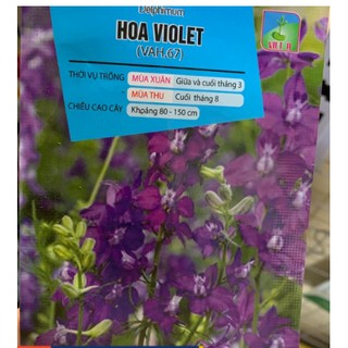 Hạt hoa violet