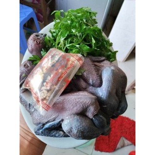 Gà tần thuốc bắc khay 2 con