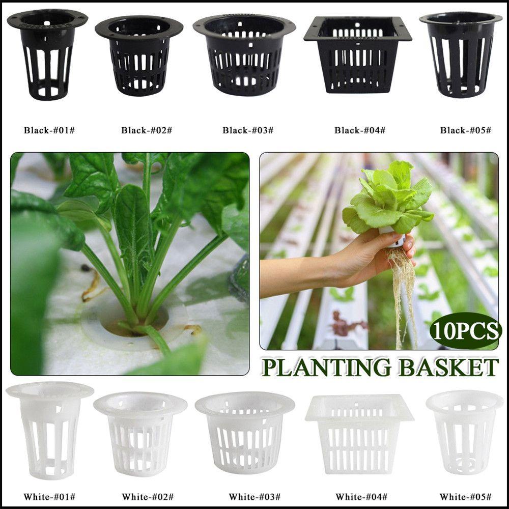 SUENIN Set 10 Chậu Trồng Cây Thủy Canh Không Cần Đất