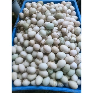Trứng vịt đồng lòng đỏ nhiều, tươi mới 10 quả