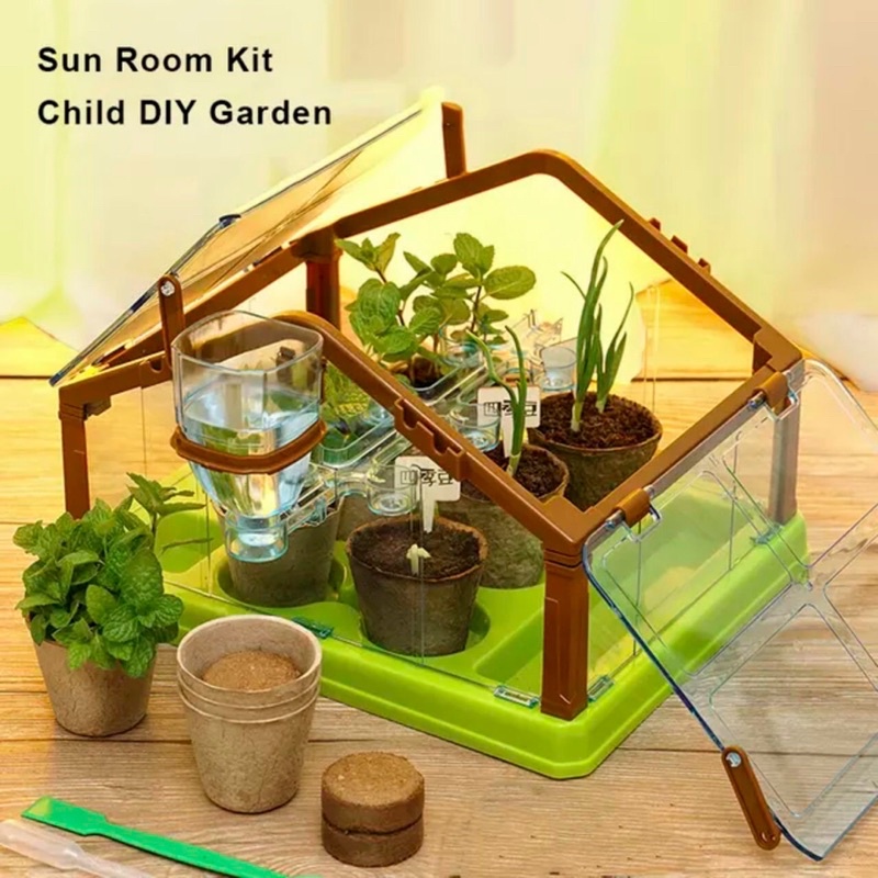 Bộ trò chơi trồng cây trong nhà kính mini 2 màu xanh hồng, giúp bé quan sát sự phát triển của cây xanh