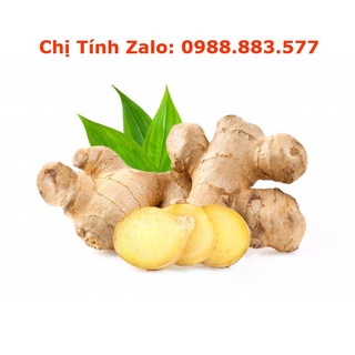 Gừng tươi nguyên củ 0.1 - 0.5kg | giao siêu tốc 2 tiếng hcm